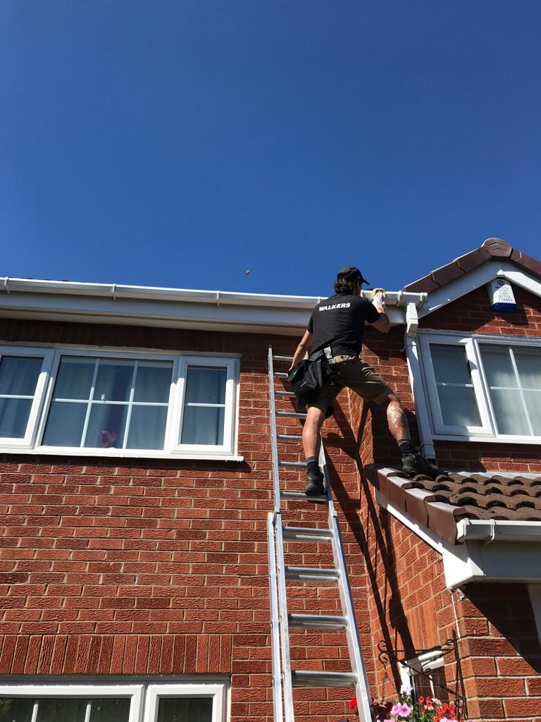 Walkers Window Cleaners