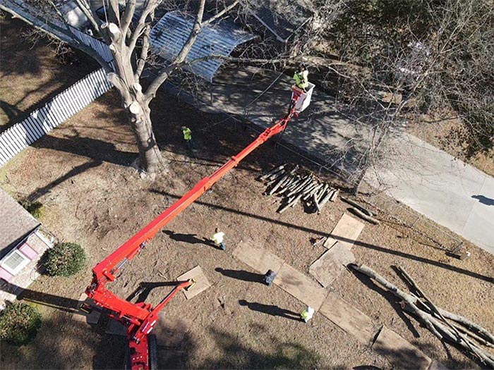 Gallery Walker Tree Service, Inc