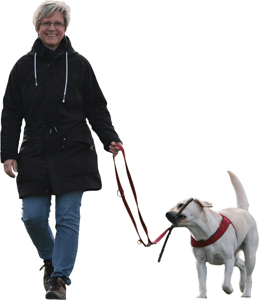 Home Walkies Pet Sitting