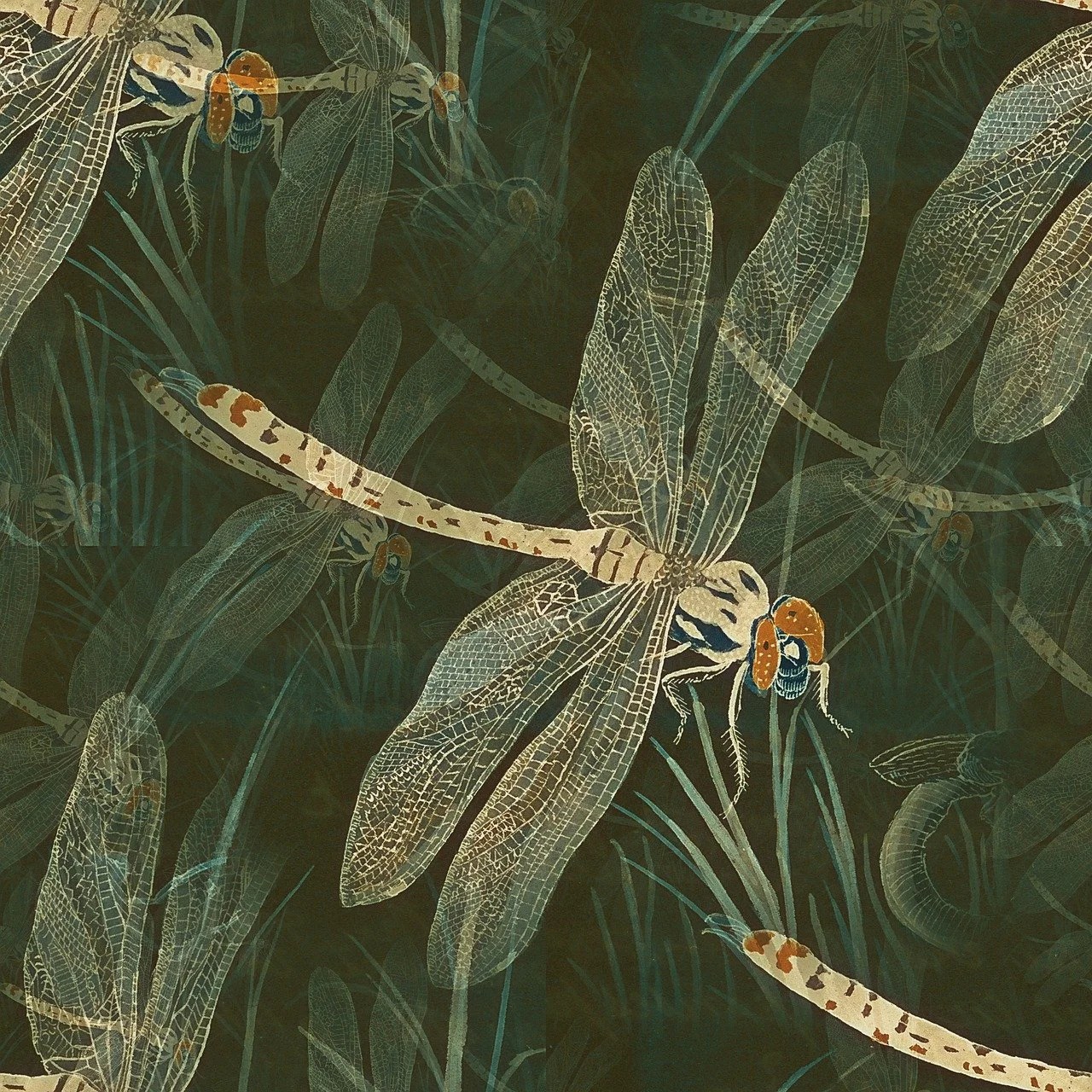 What Does a Dragonfly Symbolize In The Bible? WalkingCrossRoads