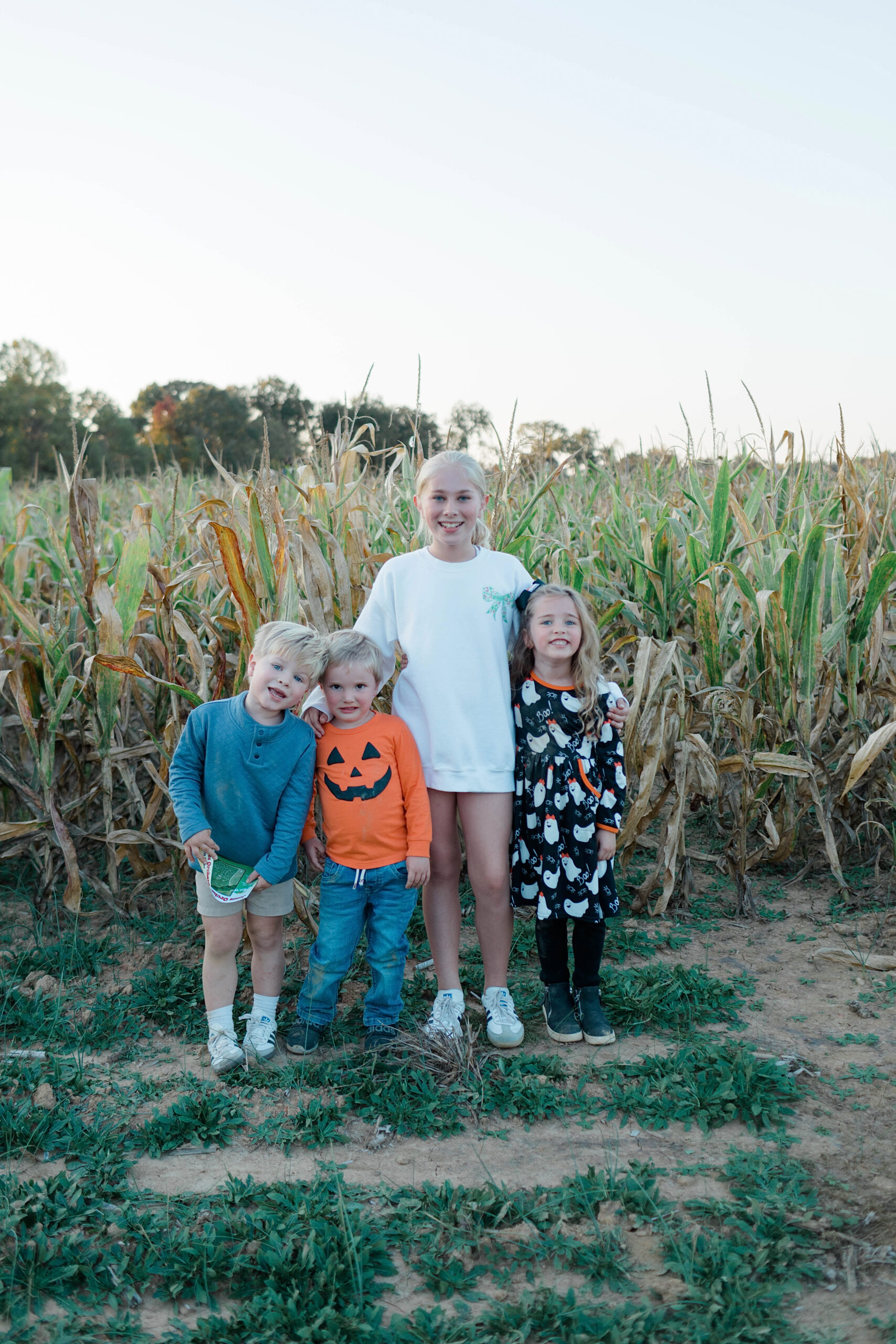 FamilyFriendly Fall Activities in Memphis, Tennessee Walking in