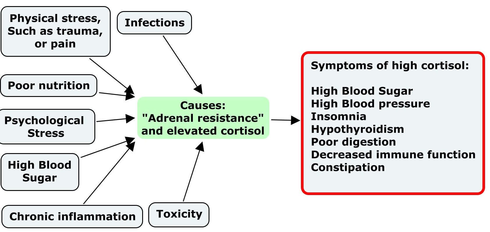 Stress and Cortisol Walking Off Pounds