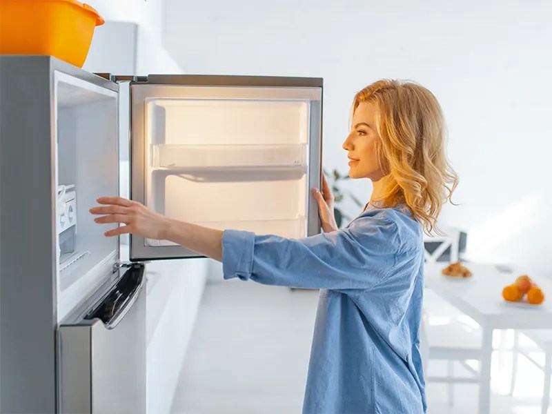 Does a Fridge Need a Pure or Modified Sine Wave Inverter? WalkingSolar