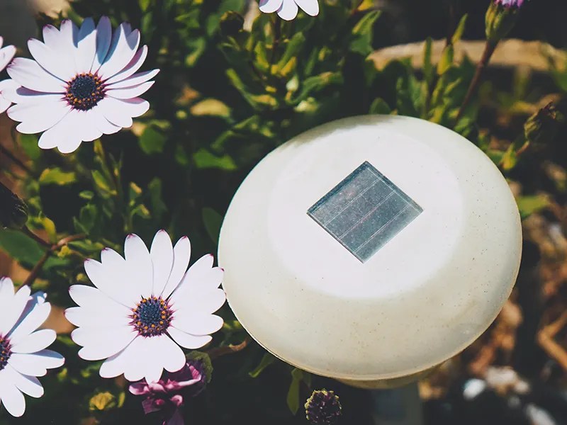 How far apart do you place solar lights? WalkingSolar