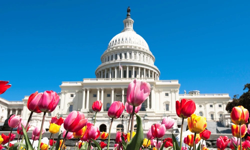 Residential outdoor solar lighting regulations Washington state