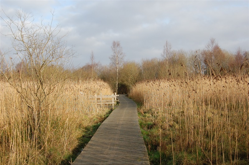 Peatlands Lakeland Walk WalkNI