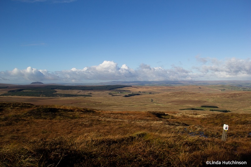 Antrim Hills Way WalkNI