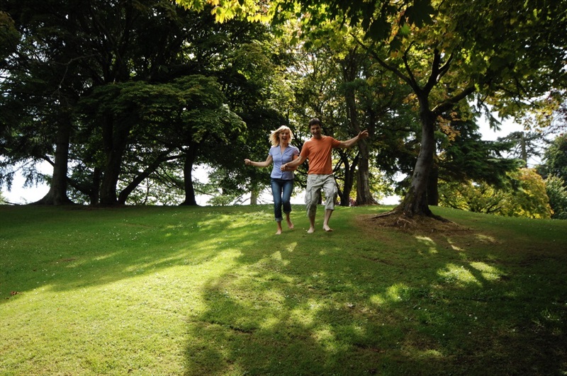 Dungannon Park The Park Trail WalkNI