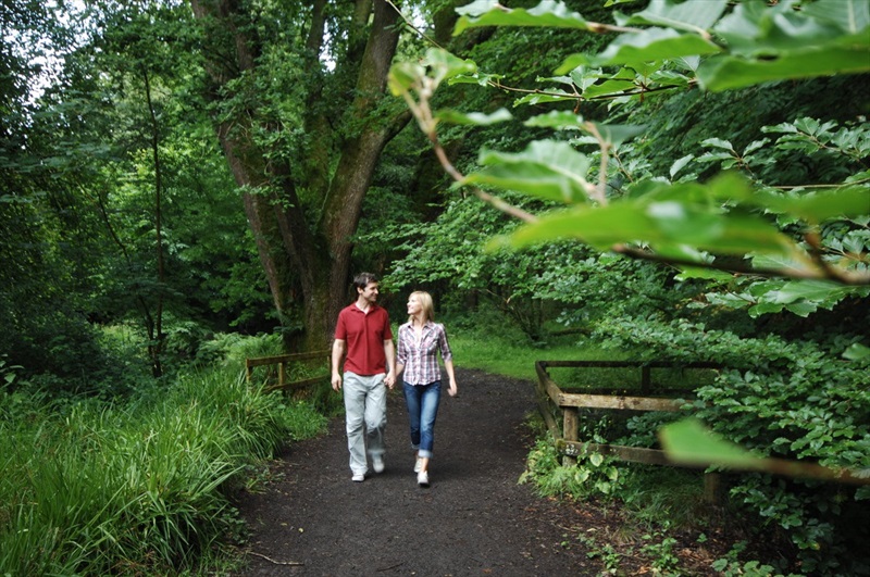 Dungannon Park The Park Trail WalkNI