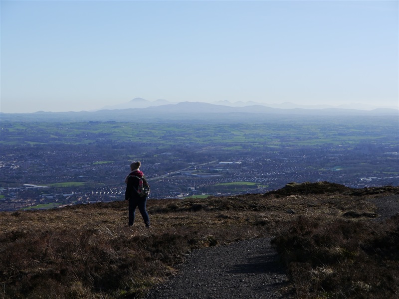 Divis Ridge Trail WalkNI