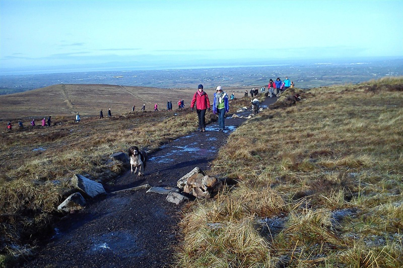 √ Divis Black Mountain Belfast Popular Century