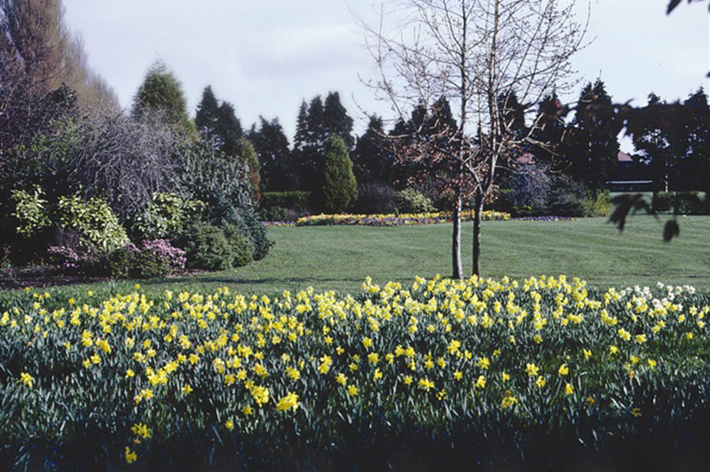 Musgrave Park WalkNI