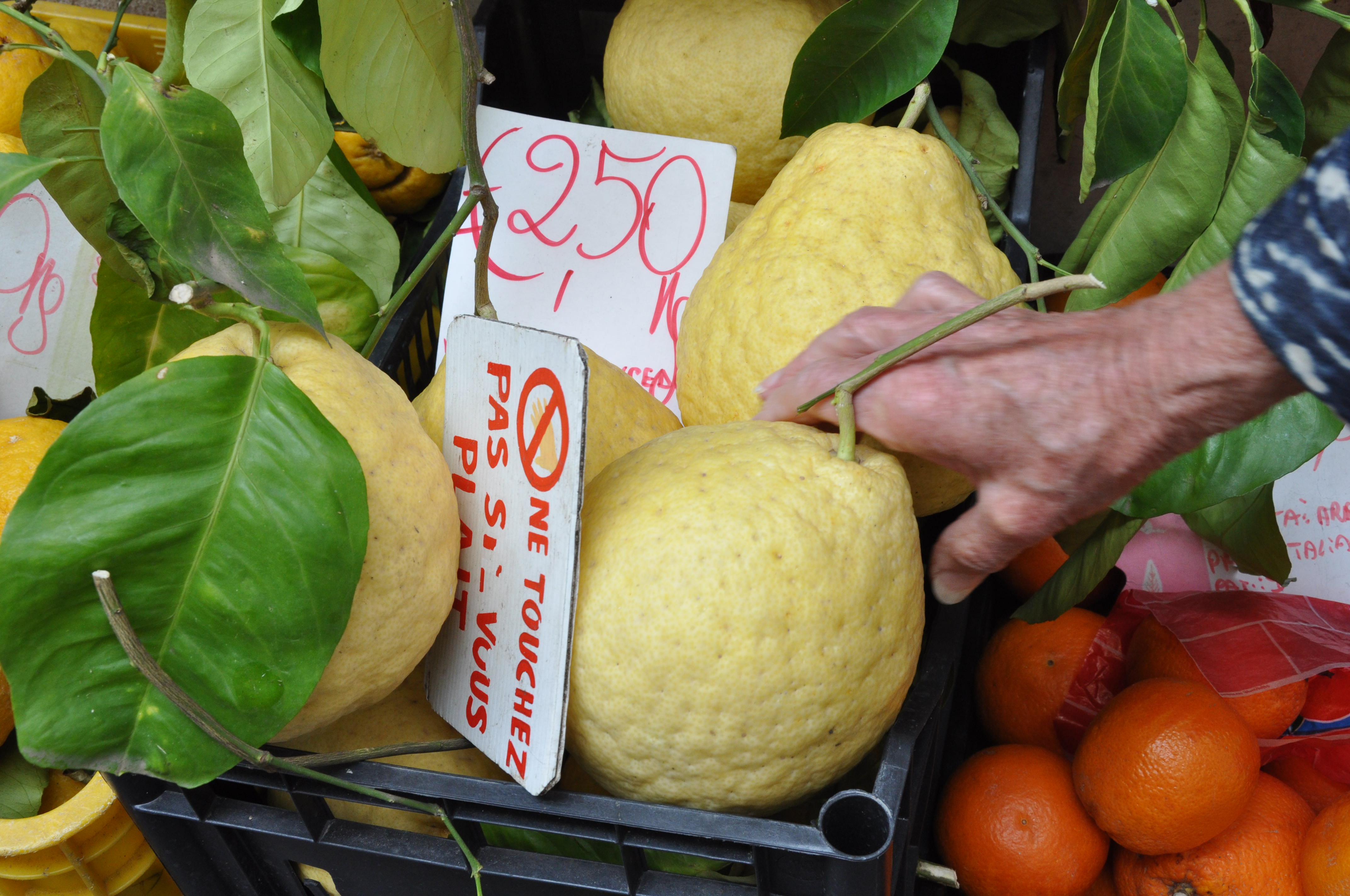 Limoncello, Italy's Famous Lemon Liqueur Why and Where to Try It