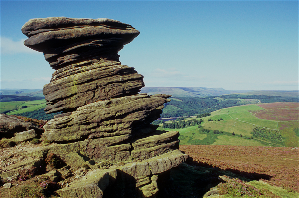 saltcellar Walks to do