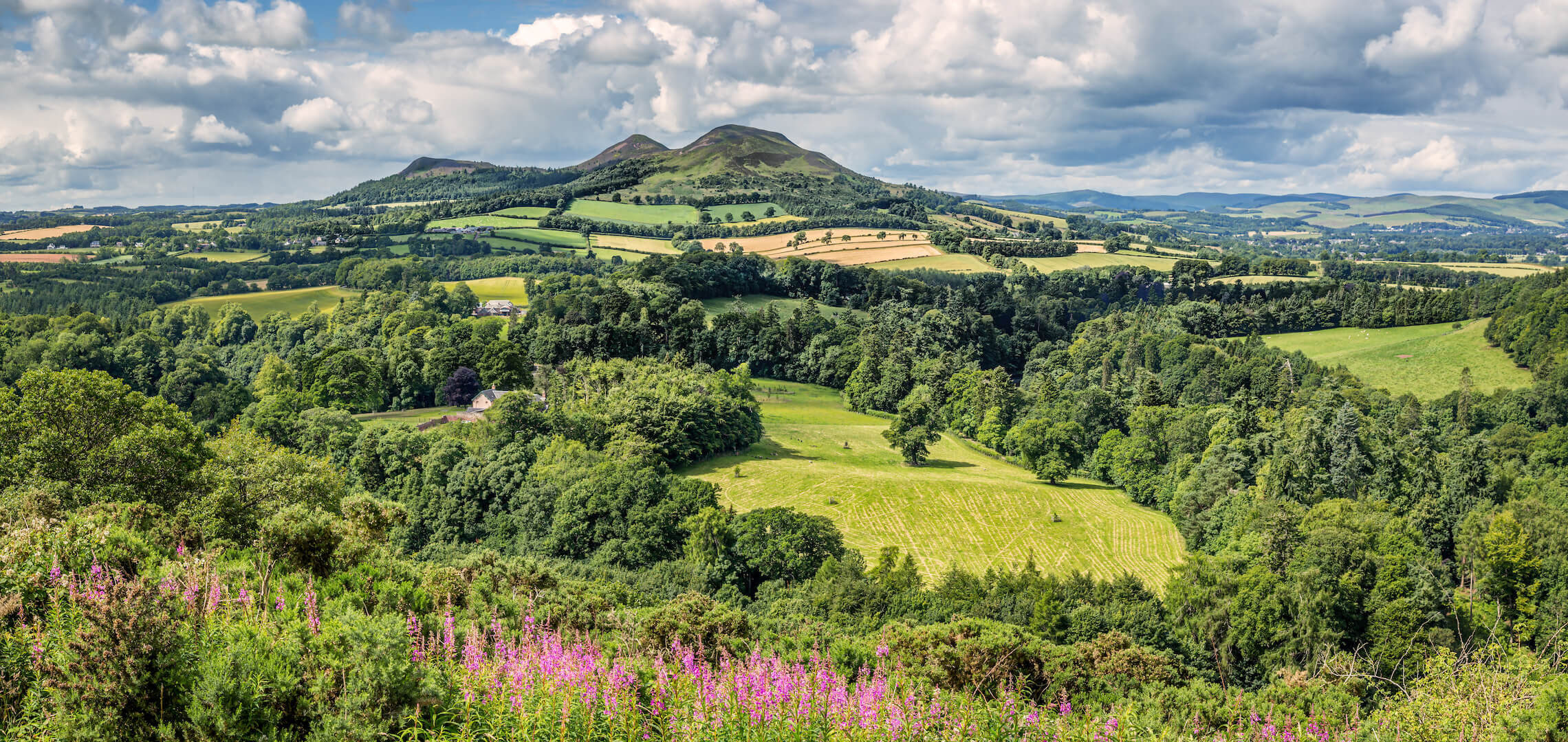 St Cuthbert Way to Holy Isle Walk The Camino