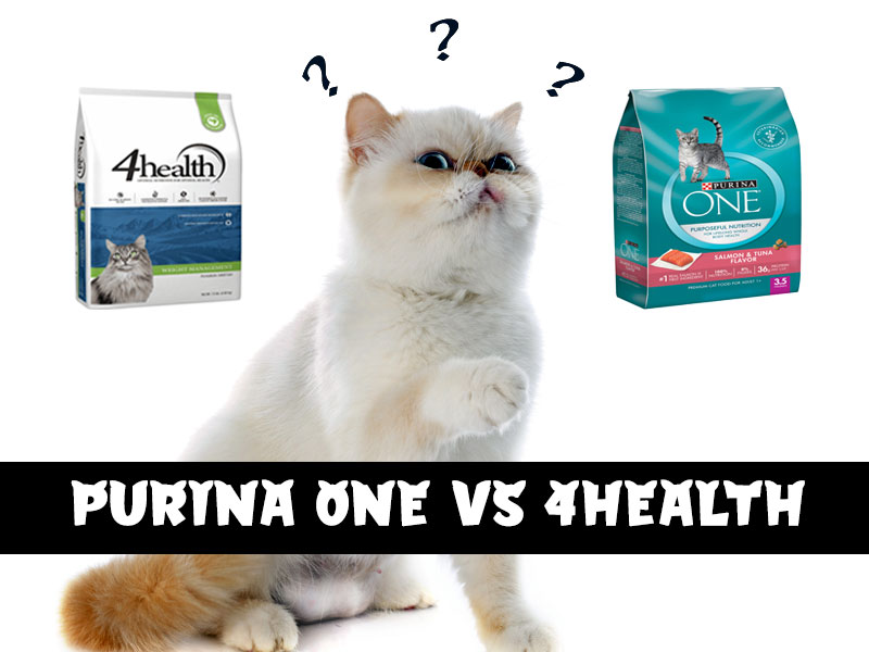 How does Purina one compare to 4health cat food? Walk With Cat