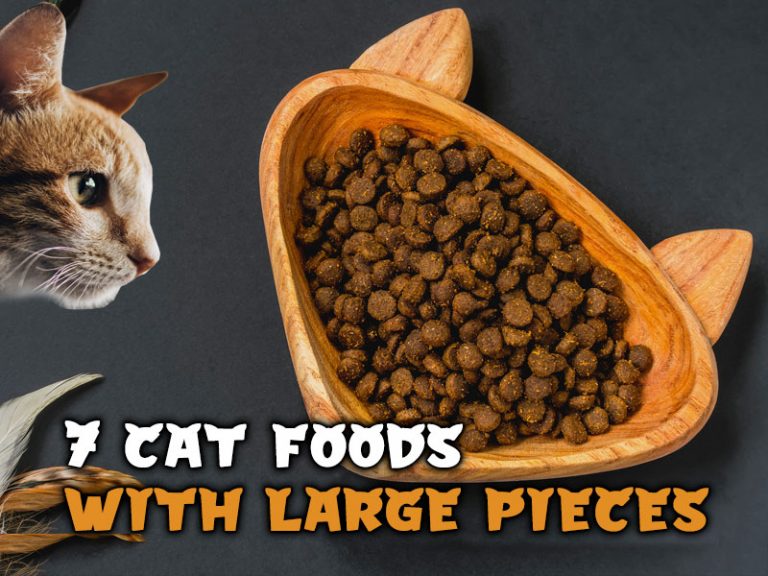 7 Best Cat Foods with Large Pieces Brand Review Included Walk With Cat