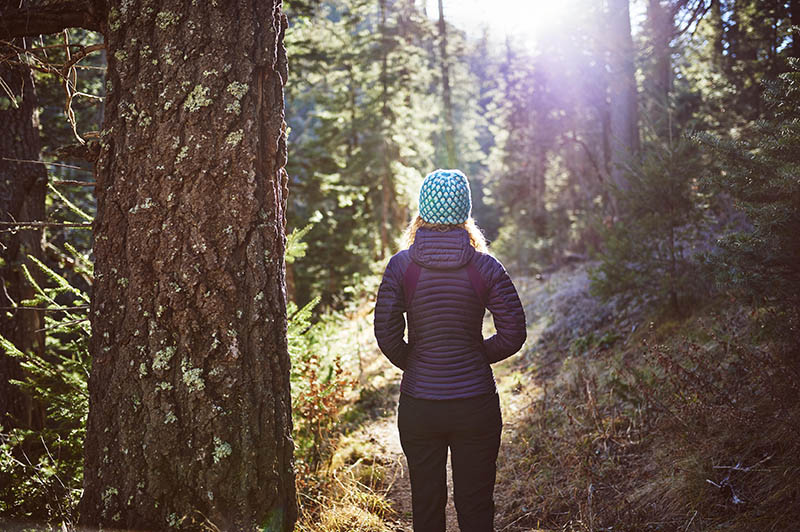 Forest Bathing in the Canmore Banff Area Forest Fix