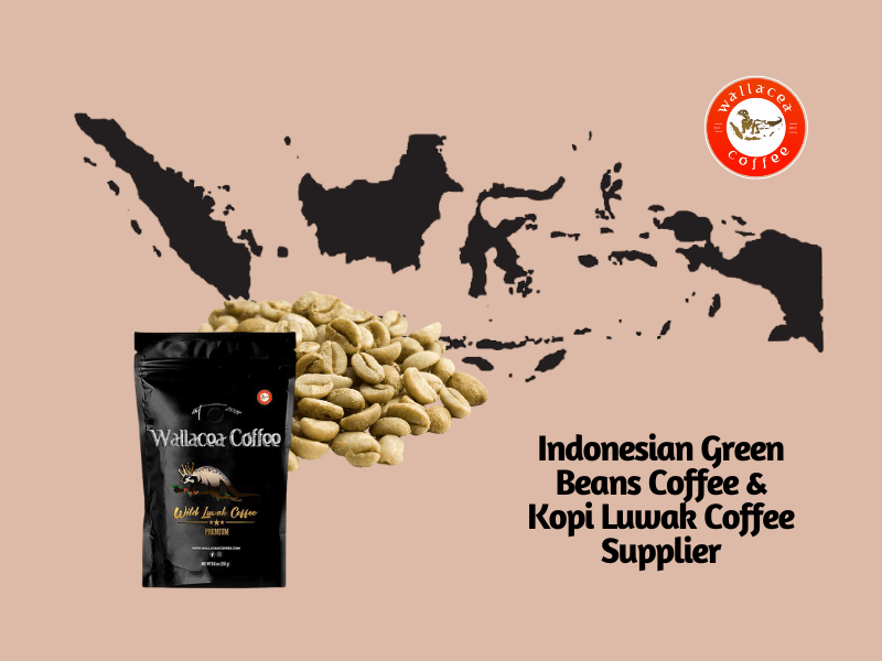 How to Choose the Best Coffee Supplier for Your Business Wallacea Coffee