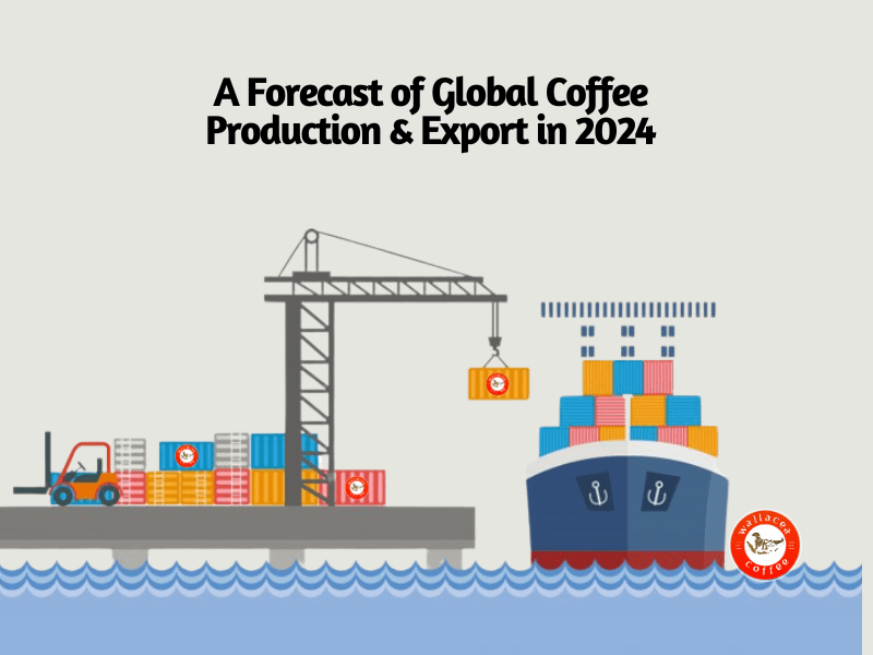 A Forecast of Global Coffee Production & Export in 2024 Wallacea Coffee
