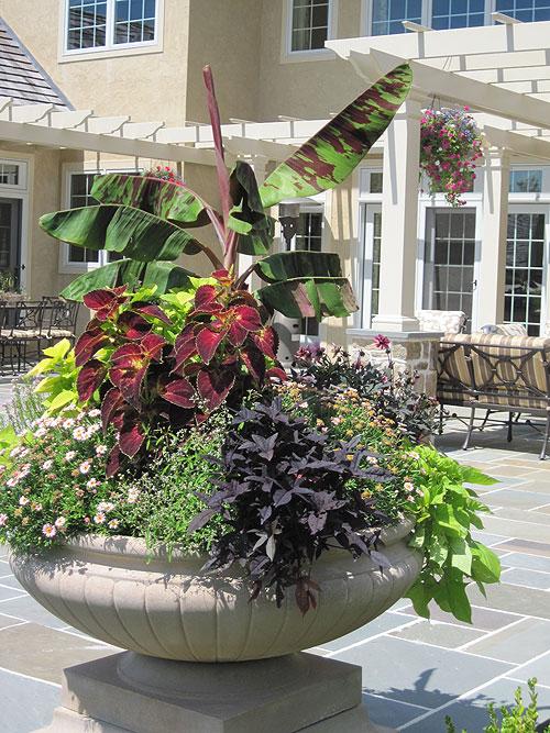 Pot Luck For Your Garden Wallace Landscape Associates