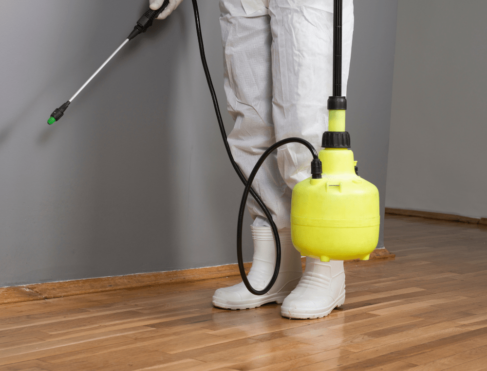 Pest Control For Burnley Churches Efficient & Discreet Pest Control