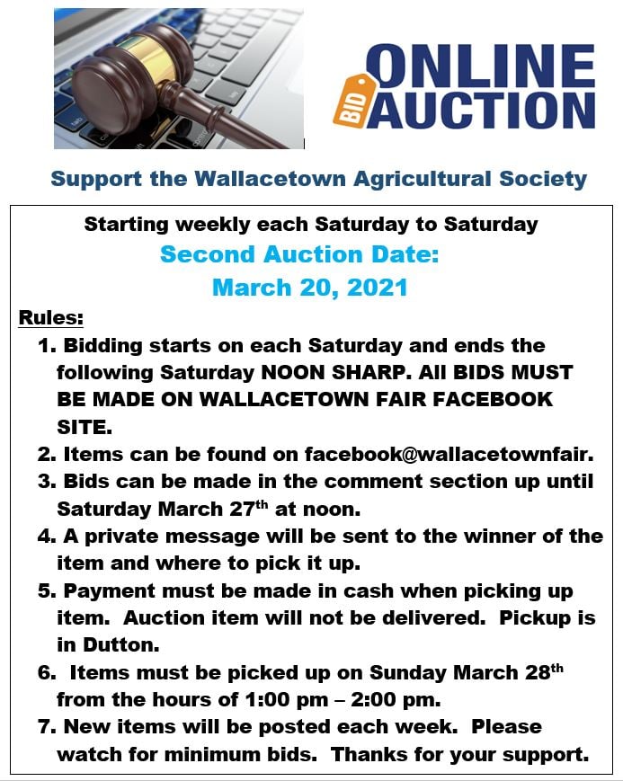 HOME Wallacetown Fair