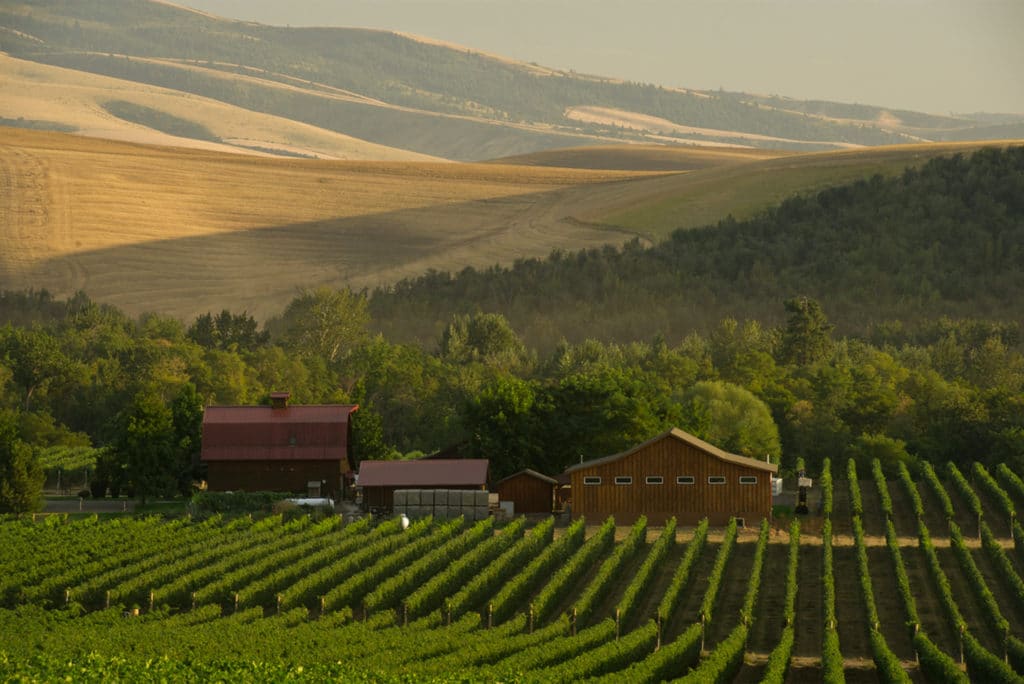 Walla Walla Valley Voted America's Best Wine Region Visit Walla Walla