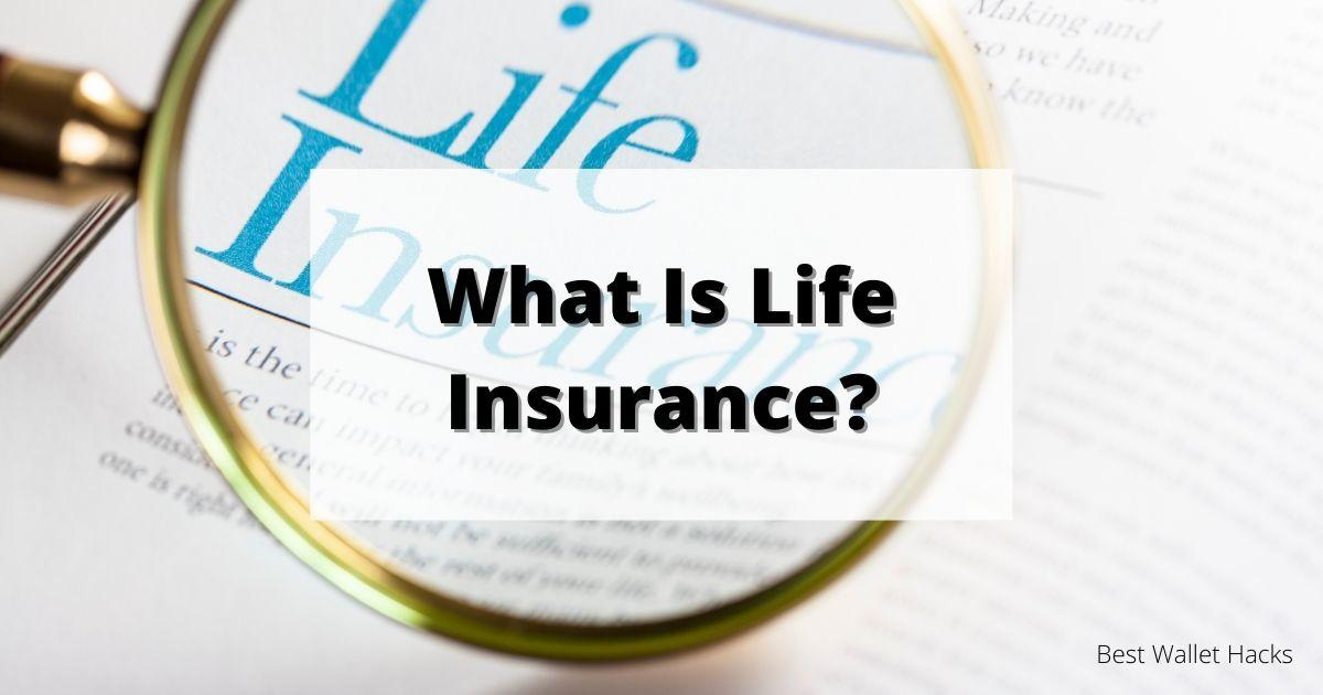 What Is Life Insurance coverage and How Does it Work? Nwn