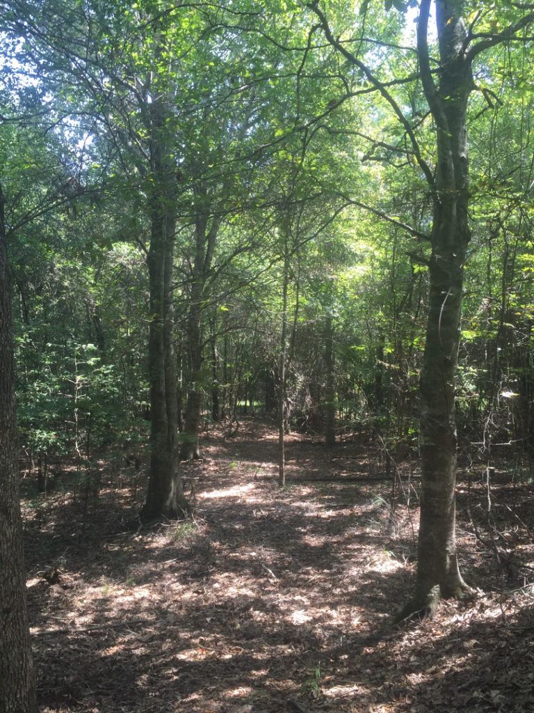 ±272 Acres in Perry County, MS Listing ID PE272G Walley Properties