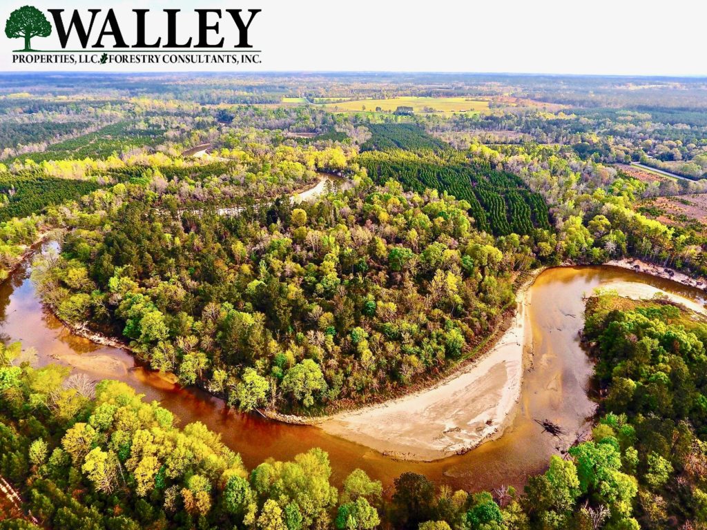 Walley Properties Mississippi Land For Sale & Forestry