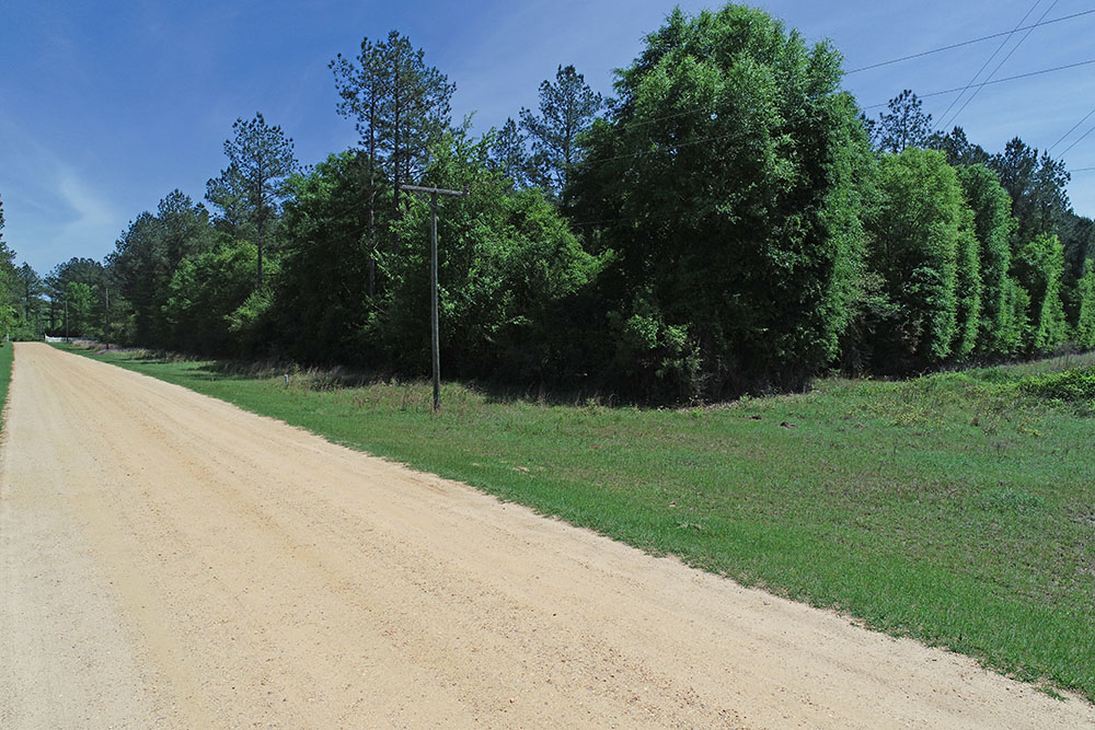 ± 7 Acres Jones County, MS Listing ID JO7 Walley Properties