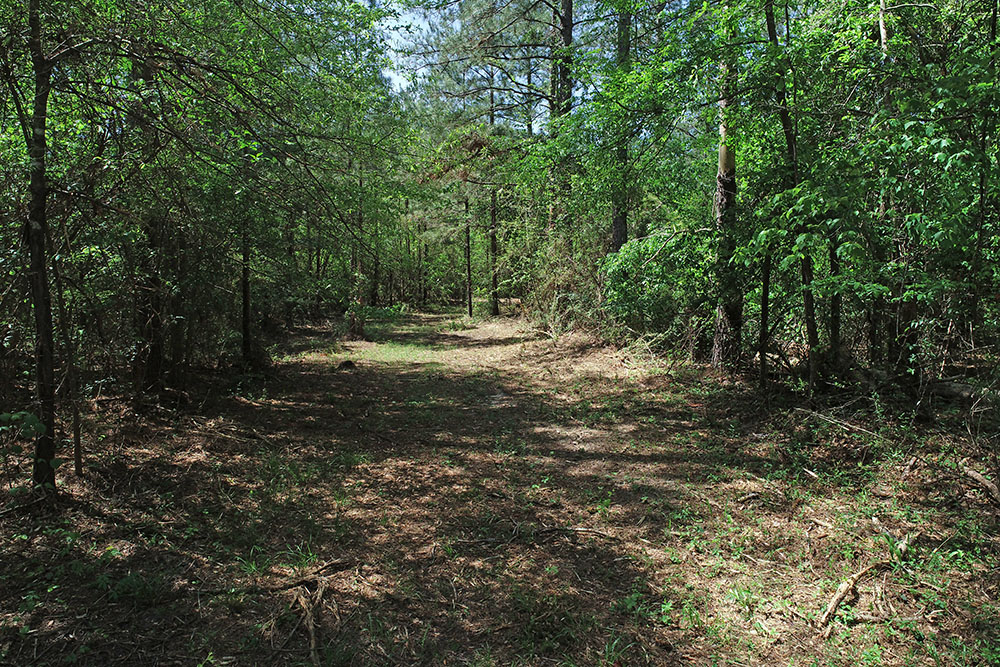 ± 8 Acres Jones County, MS Listing ID JO8 Walley Properties