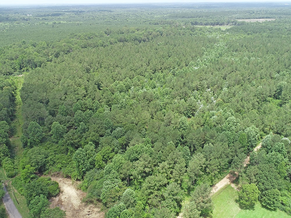 ± 78 Acres Jones County, MS Listing ID JO78 Walley Properties
