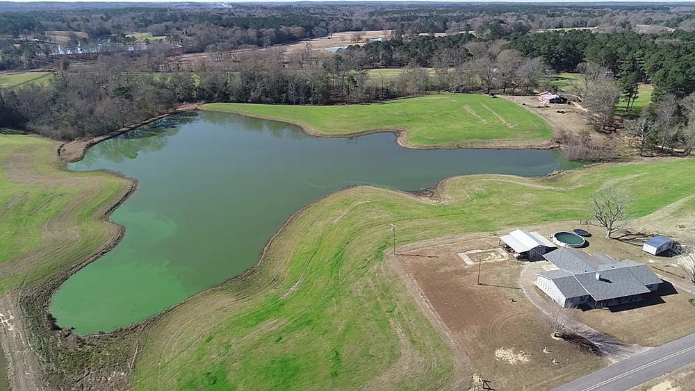 ± 40 Acres Jones County, MS Listing IDJO40 Walley Properties