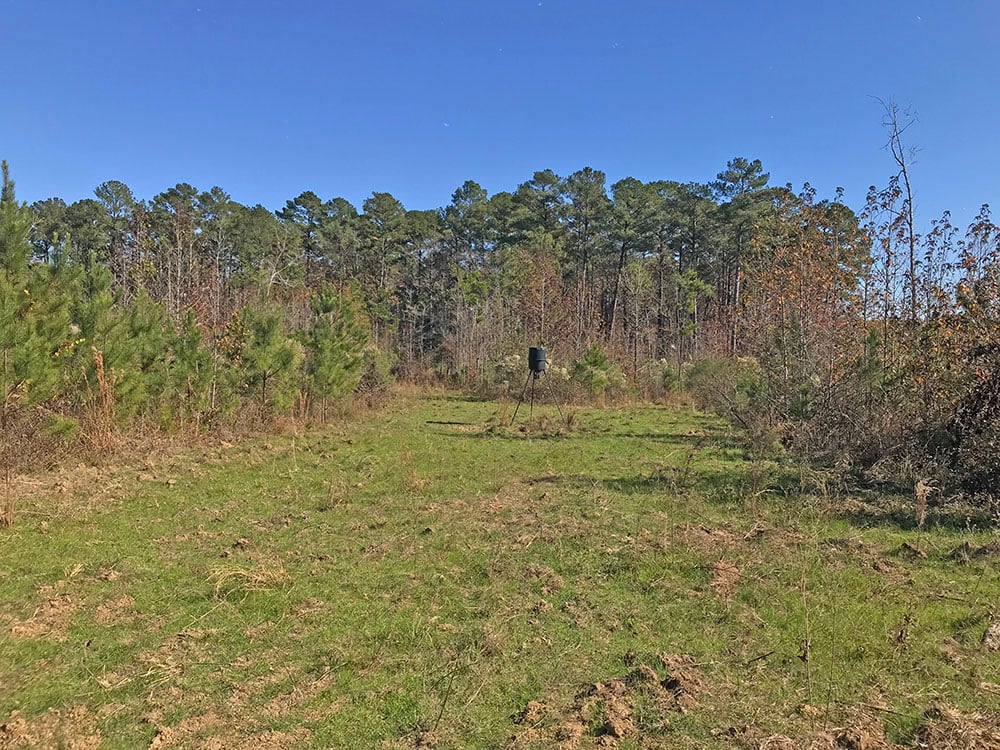 ± 140 Acres Scott County, MS Listing IDSC140 Walley Properties