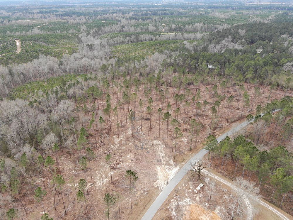 ±7 Acres Perry County, MS Listing IDPE7 Walley Properties & Forestry
