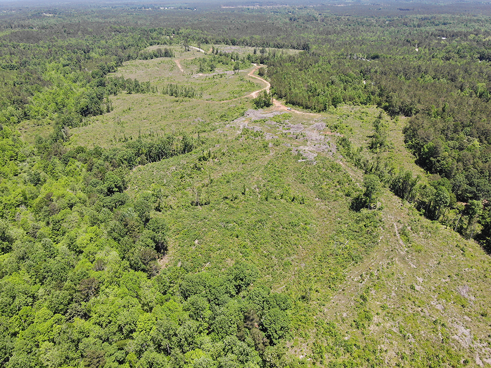± 73 Acres Smith County, MS Listing ID SM73 Walley Properties
