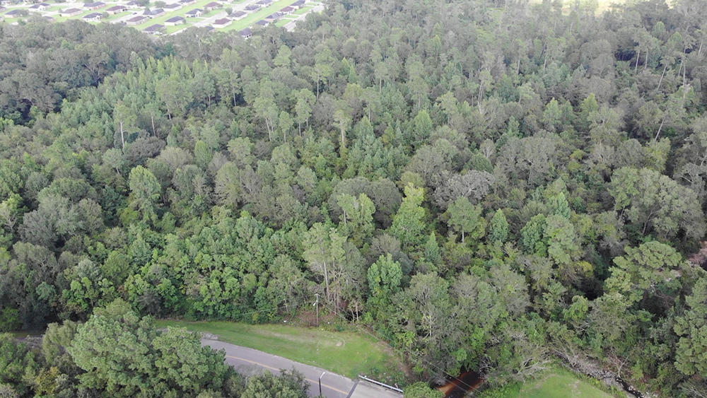 Located in Industrial Park Walley Properties & Forestry Properties