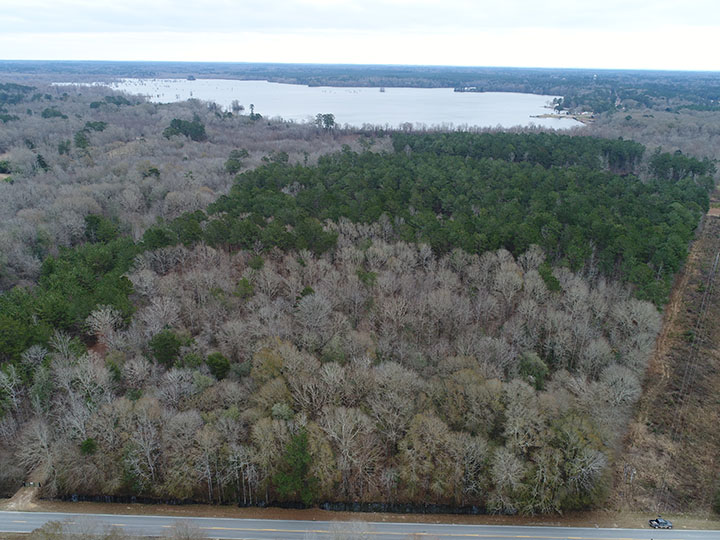 ± 78.12 Acres Jones County, MS Listing ID JO78.12 Walley Properties
