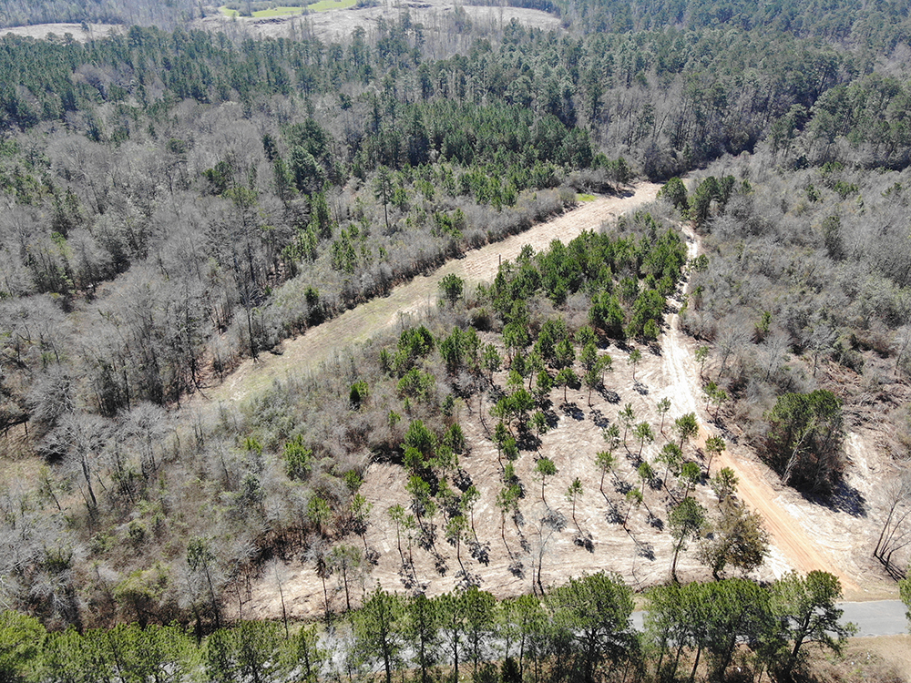 ± 7 Acres Jones County, MS Listing ID JO7B Walley Properties