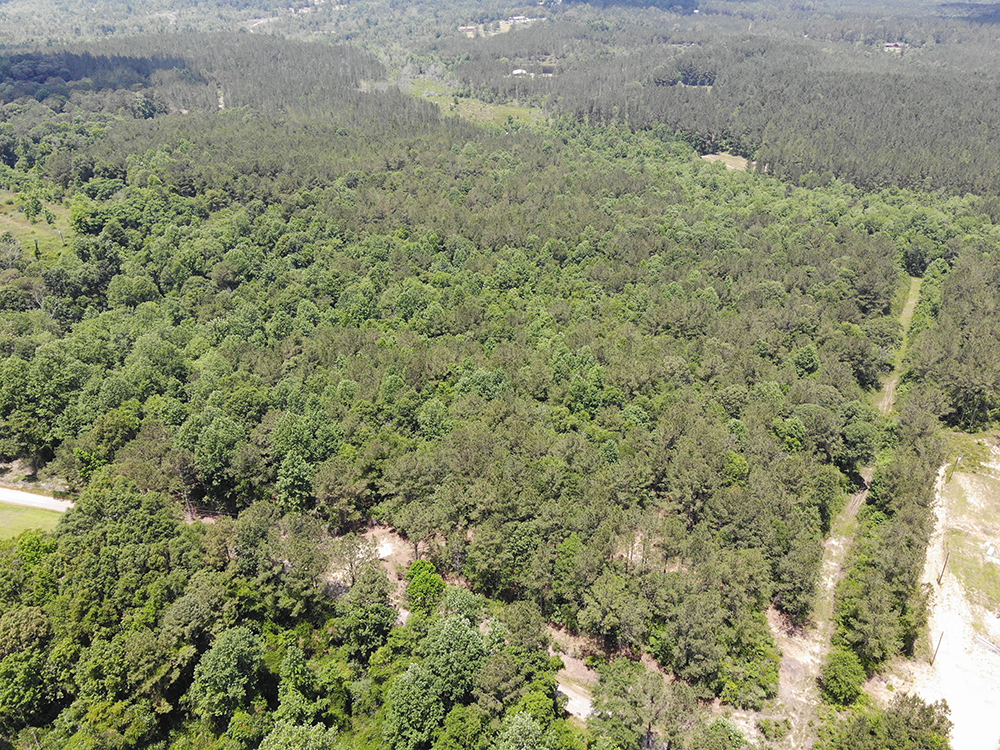 ± 29 Acres Jones County, MS Listing ID JO29 Walley Properties