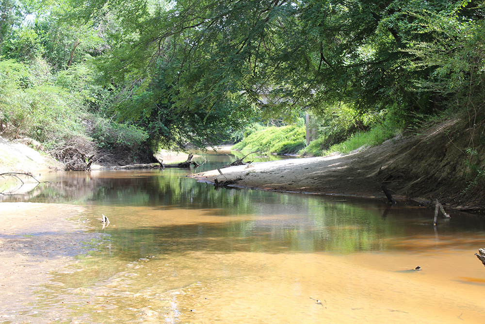 ± 50 Acres Jones County, MS Listing ID JO50 Walley Properties