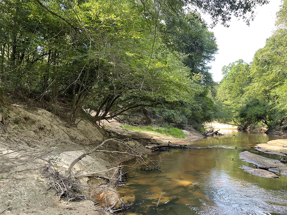 ± 80 Acres Jones County, MS Listing ID JO80