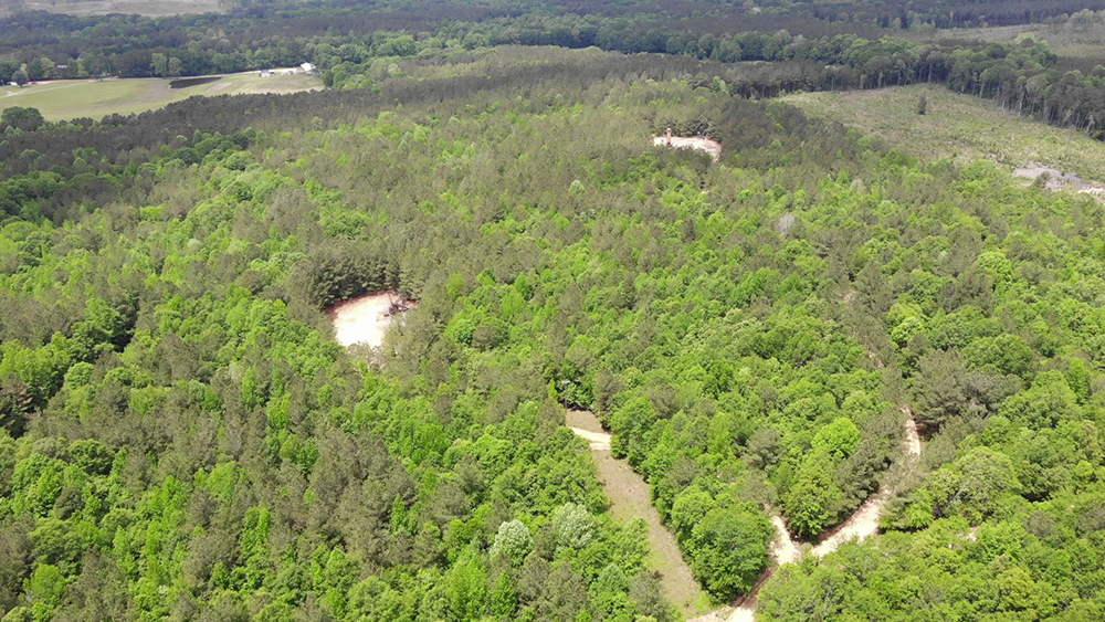 Simpson SI Walley Properties & Forestry Properties in Mississippi