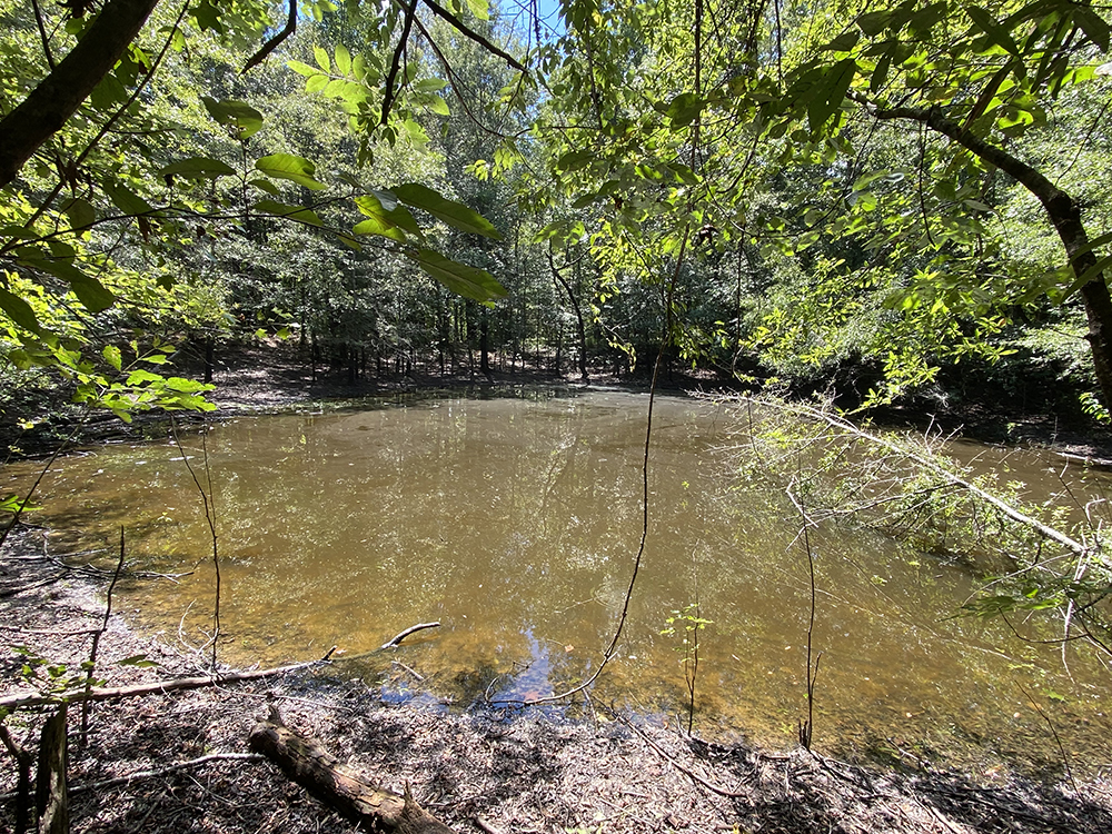 ± 73 Acres Jasper County, MS Listing ID JA73 Walley Properties
