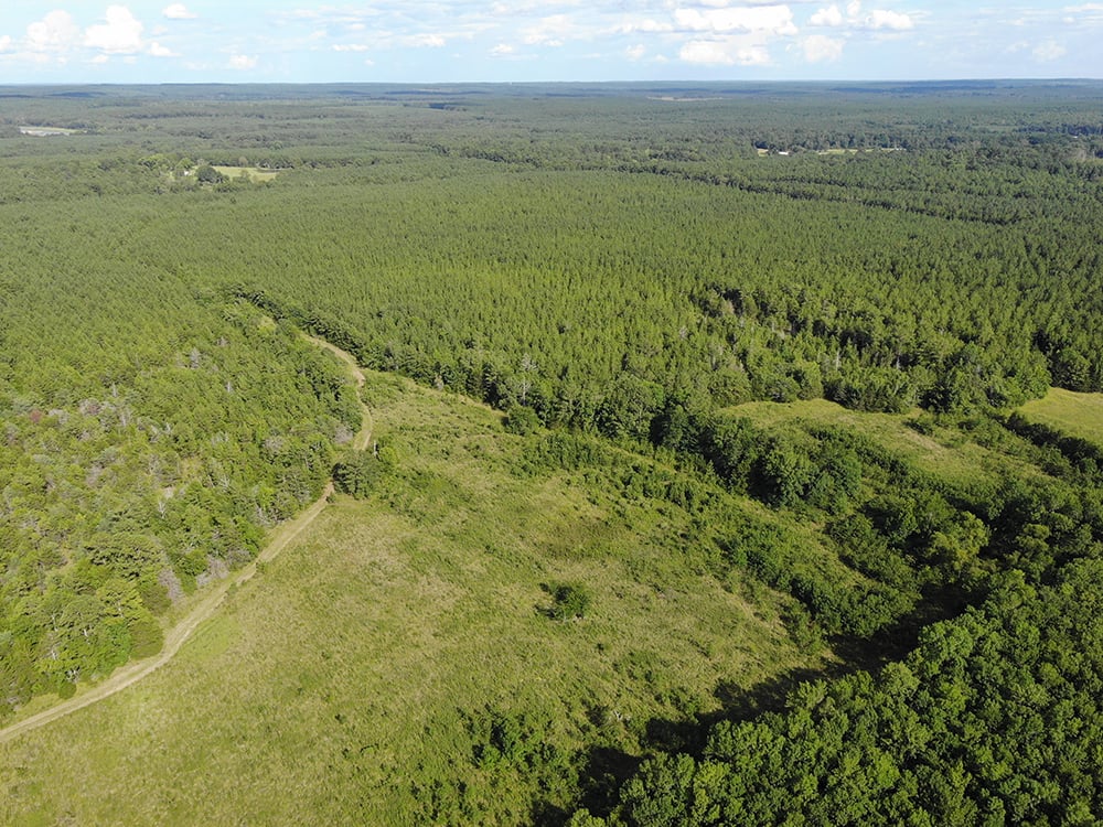 ± 220 Acres Jasper County, MS Listing ID JA220 Walley Properties