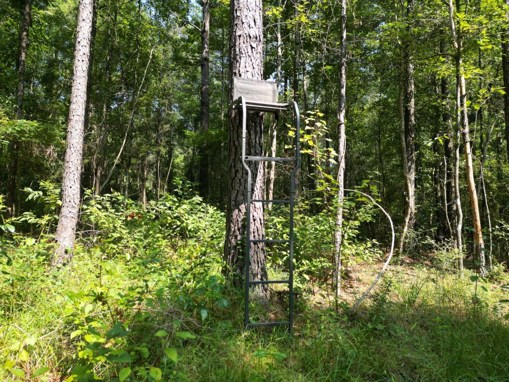 ± 15 Acres Jones County, MS Listing ID JO15B Walley Properties