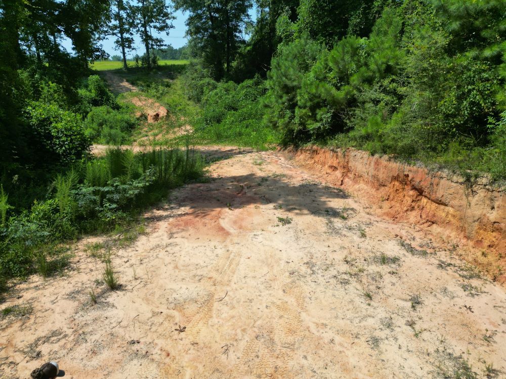 ± 15 Acres Jones County, MS Listing ID JO15B Walley Properties