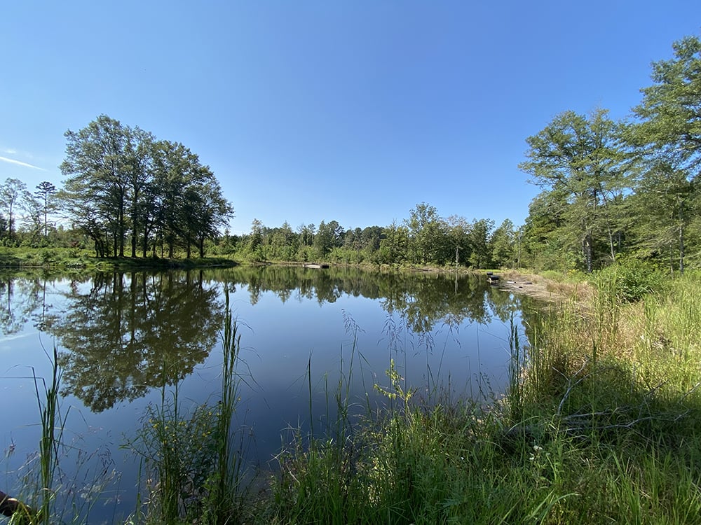 ± 33 Acres Jasper County, MS Listing ID JA33 Walley Properties